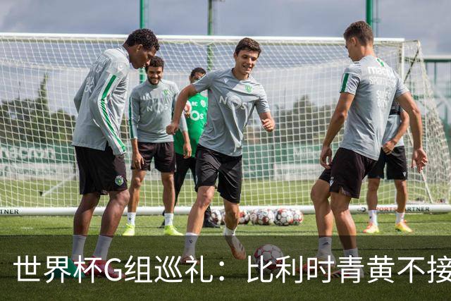 世界杯G组巡礼：比利时青黄不接 伊朗赴美参赛风波不断